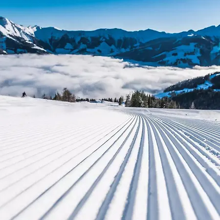 Alpstuga Frei & Wild By We Rent Viehhofen